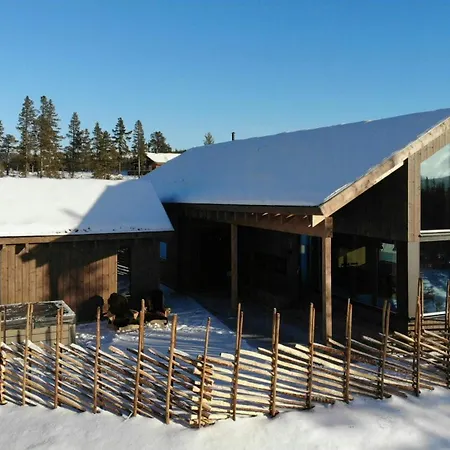 Modern At Vegglifjell *