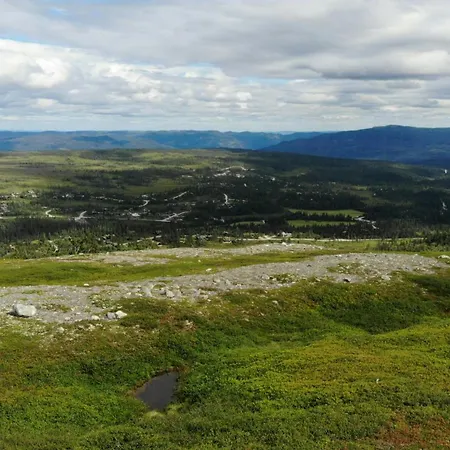 Modern At Vegglifjell *