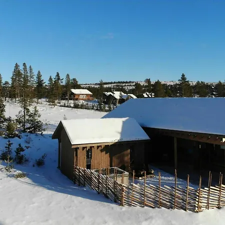Modern At Vegglifjell