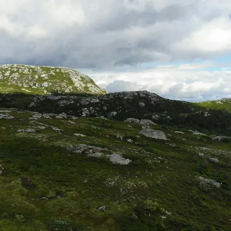 Modern At Vegglifjell * Veggli
